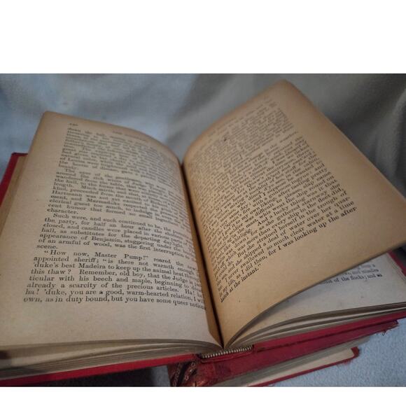 Set 2 The Leather Stocking Tales by Cooper 1927 Pioneers Deerslayer - Picture 9 of 9